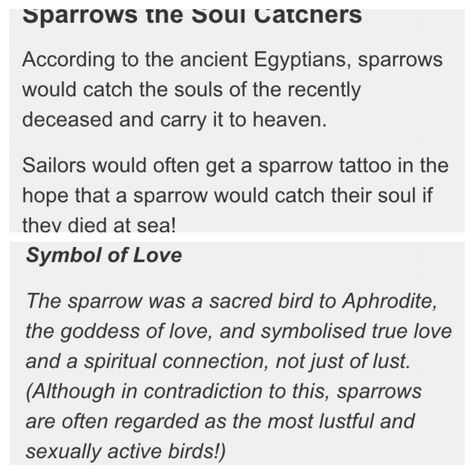 This is the symbol and meaning of the sparrow birds.  So cool! Sparrow Quotes Bird, Birds With Meaning, Swallow Spiritual Meaning, Sparrow Meaning Spiritual, Bird Tattoo Meaning Symbols, Swallow Bird Meaning, Sparrow Meaning, Swallow Symbolism, Sparrow Bird Drawing