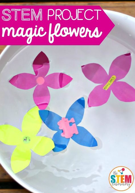 Make flowers out of paper and watch them magically unfold to reveal a surprise! A fun preschool science experiment that children can do all on their own. Preschool Stem Projects, Preschool Flower Theme, Flowers Out Of Paper, Spring Science Experiments, Flower Activities For Kids, Spring Stem Activities, Flower Science, Kids Preschool Learning, Spring Science