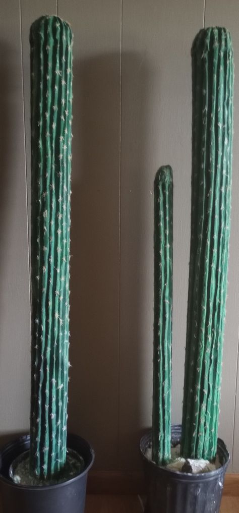 diy pool noodle cactus Pool Noodle Cactus, Western Christmas Tree, Cactus Diy, Cowboy Baby Shower, Pool Noodles, Diy Pool, Western Christmas, Baby Cowboy, Fall Festival