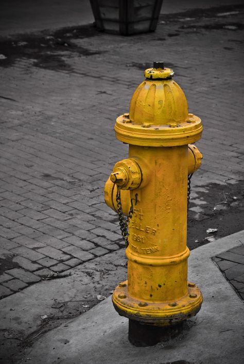 Fire Hydrant Aesthetic, Objects Aesthetic, Objects Photography, Fire Hydrants, Superflat, Blue Flower Wallpaper, Aesthetic Objects, Color Splash Photography, Splash Photography