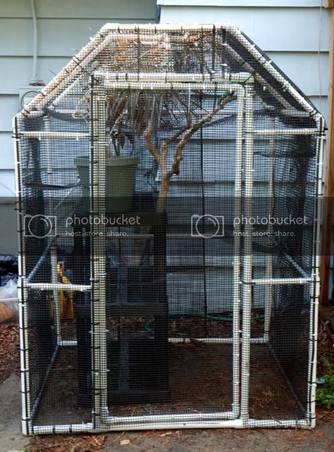 Cat Fencing, Catio Enclosure, Chameleon Terrarium, Chameleon Enclosure, Lizard Cage, Iguana Cage, Chameleon Cage, Dragon Lair, Outdoor Pet Enclosure