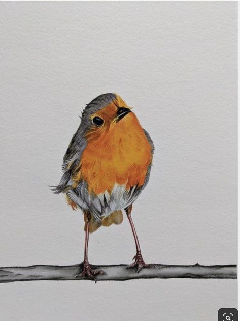 Christmas Textiles, Pastels Artwork, Robin Bird Tattoos, Robin Drawing, Red Robin Bird, Robin Tattoo, Watercolour Birds, Robin Art, Chakra Tattoo