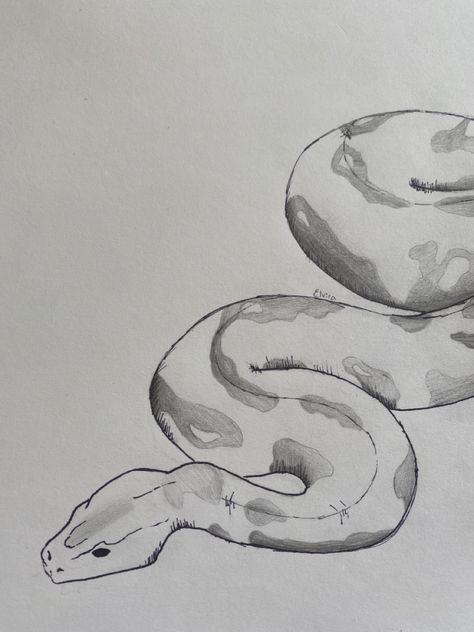 Snake Sketch Easy, Snake Patterns Drawing, Drawing Ideas Snake Easy, Ular Art, Sea Snake Drawing, Coiled Snake Drawing, How To Draw A Snake Step By Step, Snake Sketch Simple, Snake Easy Drawing