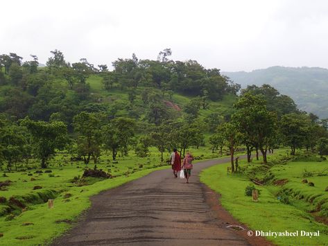 Indian Countryside. Countryside Road. Countryside People. #countryside #countrysidelife #countrysideliving #countrysidephotography #countrysideroad #indiancountryside #villagepeople #countrysidepeople #greenery #monsoon #photography #india #maharashtra Monsoon Photography, Indian Countryside, Countryside Photography, Side Road, Village People, Village Life, India, Road, Green