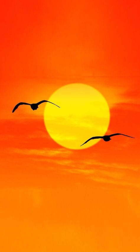 Sunset With Birds Flying, Beautiful Sunrise Wallpaper, Flying Birds Painting, Pictures Of Sun, Birds Flying In The Sky, Sunrise Drawing, Odyssey Art, Art For Walls, Nature Sunrise