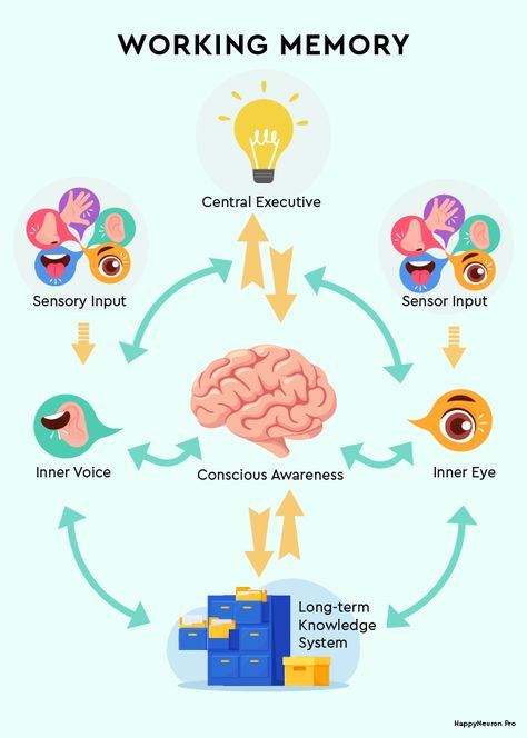 7 Working Memory Activities for Adults & Kids| Online & PDF Memory Worksheets For Adults, Memory Activities For Adults, Working Memory Activities, Meta Cognition, Memory Exercises, Memory Activities, Executive Function, Conscious Awareness, Short Term Memory