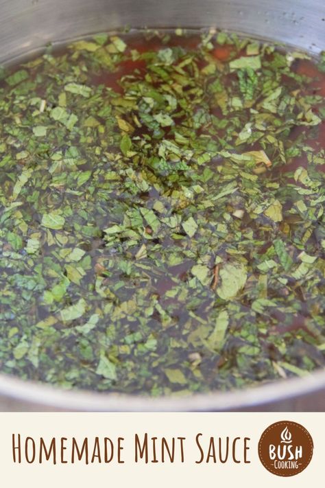 Try this Homemade Mint Sauce on lamb, chicken, or even roasted vegetables. Use a vinegar base and loads of fresh mint for a sauce that lasts year-round. #camping #grilling #mintsauce Homemade Mint Sauce For Lamb, Homemade Mint Sauce, Sauces For Lamb Roast, Mint Sauce Recipe For Lamb, Mint Sauce For Lamb, Mint Sauce Recipe, Roast Lamb, Homemade Sauce Recipes, Lamb Burgers