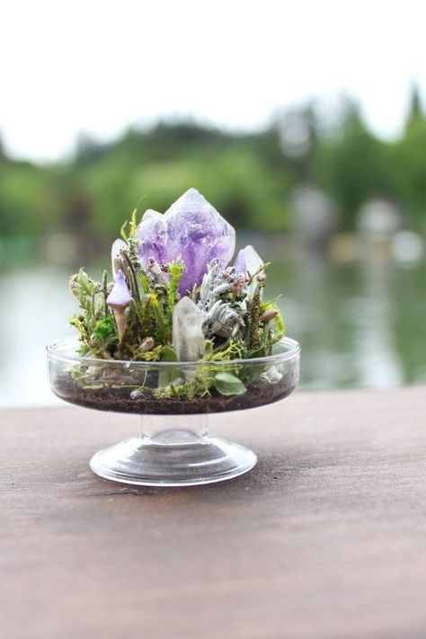 Aug 31, 2020 - A list of 50 creative hobbies to try next whenever you are bored or just need something new to brighten your day. Crystal Gardens, Anting Manik, Magical Crystal, Gardening Guide, Crystal Room, Crystal Garden, Crystal Aesthetic, Terrarium Diy, Garden Terrarium