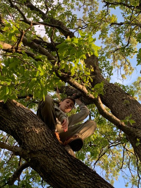 Hanging From Tree Pose, Woods Reference Photo, Person In Tree Reference, Sitting In A Tree Aesthetic, Sitting On Tree Pose, Sitting In Tree Pose Reference, Climbing Tree Pose, Hanging From Tree Pose Reference, Forest Reference Photo