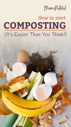 Apartment Composting, How To Start Composting, Start Composting, Composting 101, Compost Bin Diy, Compost Bucket, Compost Tumbler, Diy Compost, Kitchen Scraps