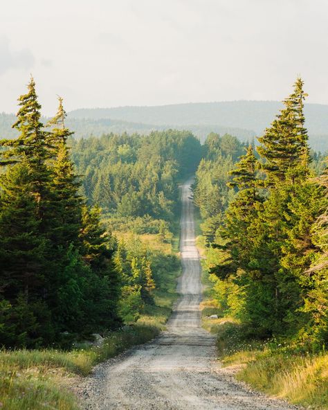 Road in Dolly Sods Wilderness, in Monongahela National Forest, West Virginia Virginia Forest, Monongahela National Forest, The Adventure Zone, Posters Framed, Creative Portfolio, Image House, National Forest, City Skyline, West Virginia