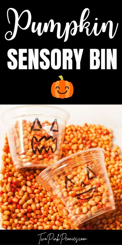 Pumpkin Sensory Bin Pumpkin Sensory Bin, Pumpkin Sensory, Halloween Sensory Bin, Large Food Storage Containers, Halloween Sensory, White Kidney Beans, Orange Food Coloring, Spooky Food, Halloween Activity