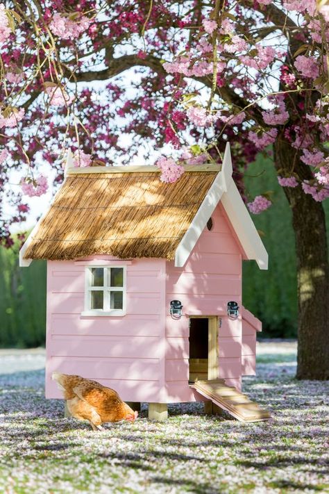 Chicken Coop Paint Ideas, Colorful Chicken Coop, Pink Chicken Coop, Painted Chicken Coop, Garden Chicken Coop, Country Homes Interiors, Chicken Coop Blueprints, Cute Chicken Coops, Chicken Coop Garden