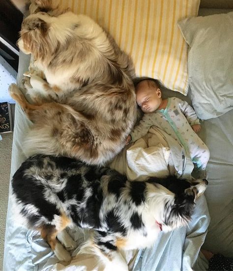 Cute Pictures of Dogs Napping With Kids and Babies Babies With Dogs, Dog With Family, Kids With Dogs, Family With Dogs, Babies And Dogs, Napping Together, Be Smile, Family With Dog, Dog And Baby