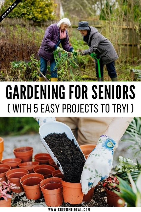 The benefits of gardening for seniors are tenfold. Many studies show how gardening may help with cognitive functions and other things for seniors. For instance, gardening can help improve balance and strength. It can even help with depression, loneliness, anxiety, or dementia. If you’re ready to get started, consider some of these fun and easy gardening projects today. Get that trowel brushed off and ready to go! Projects For Seniors, Harvest Vegetables, Nursing Home Activities, Easy Gardening, Benefits Of Gardening, Garden Activities, Gardening Projects, Mental And Physical Health, Container Gardening Vegetables