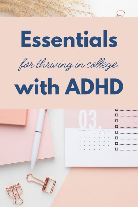 Best college planners for students with ADHD. Best college student planners, best college class planners, best planners for college, best academic planners college, good planners for college, college due dates planners, college tips study planners, study tips college organization planners, ADHD tips, ADHD in college, College students with ADHD, college organization tips, College with ADHD. College Due Date Organization, Staying Organized In College, Online College Schedule, Going Back To College As An Adult, College Class Organization, Study Organization Ideas, College Binder Organization, College Organization Tips, College Planner Ideas