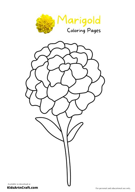 Marigold Coloring Pages For Kids – Free Printables Check more at https://www.kidsartncraft.com/marigold-coloring-pages/ Carrot Drawing, Flower Stencils, Printables Free Kids, Marigold Flower, Free Kids, Coloring Sheets, Preschool Crafts, Coloring Pages For Kids, Easy Drawings