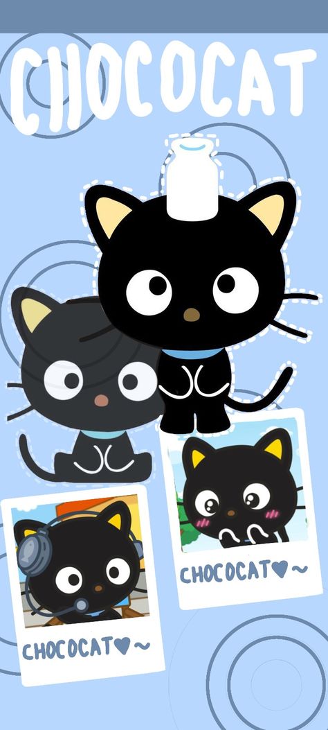 Chococat Choco Cat Sanrio Wallpaper, Choco Cat Wallpaper, Choco Cat Aesthetic, Wallpaper Kuromi, Choco Cat, Kawaii Background, Twitter Header Pictures, Cute Little Tattoos, Hello Kitty Art