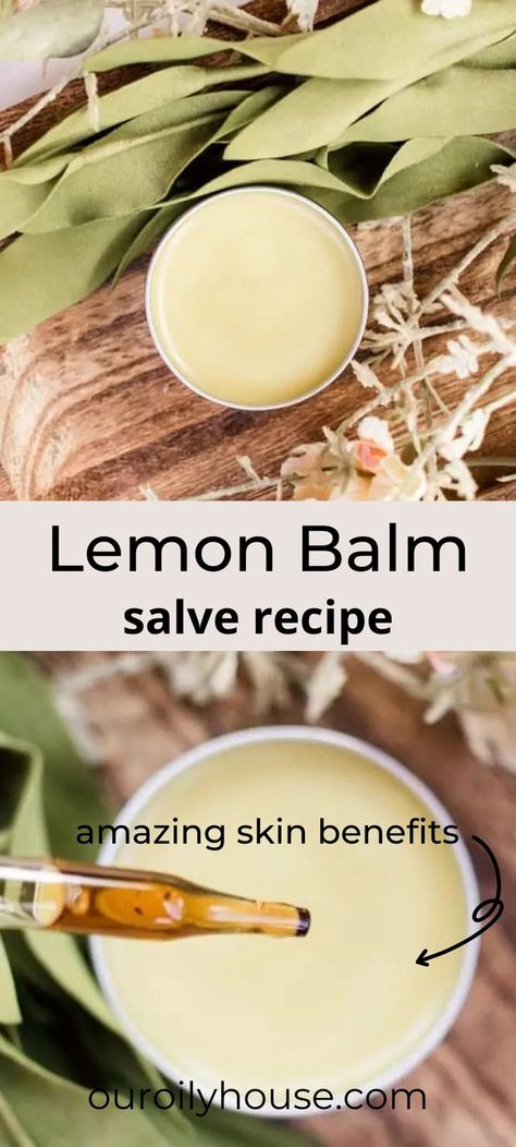 Dried Lemon Balm Uses, Lemon Balm Salve Recipe, Kawakawa Balm, Lemon Balm Salve, Lemon Balm Benefits, Lemon Balm Uses, Lemon Balm Recipes, Lemon Balm Oil, Lemon Balm Essential Oil