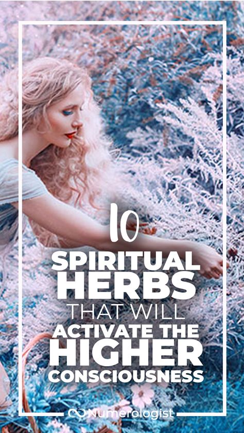 Herbs For 3rd Eye, Herbs For Higher Consciousness, Herbs For Physic Abilities, Natural Herbs For Energy, Herbs For Mental Clarity, Herbs For Releasing, Herbs For Clarity, Herbs For Strength, Spiritual Herbalism