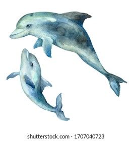 Cartoon Underwater, Water Cartoon, Dolphin Drawing, Baby Dolphins, Dolphin Art, Sea Illustration, Underwater Painting, Watercolor Whale, Whale Design