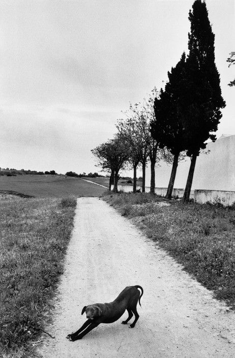 SPAIN. 1977. © JK. Magnum Photos. Josef Koudelka Josef Koudelka, French Photographers, Famous Photographers, Foto Art, Great Photographers, Magnum Photos, Black White Photos, Jeju, Bw Photo