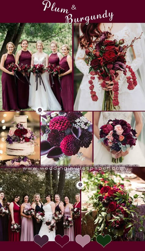 Plum And Rust Wedding Color Palettes, Burgundy Purple And Gold Wedding, Wine And Plum Wedding Colors, Plum And Maroon Wedding, Plum Burgundy Wedding, Deep Red And Purple Wedding, Red Purple Wedding Color Schemes, Plum And Red Wedding, Fall Wedding Color Palette Burgundy