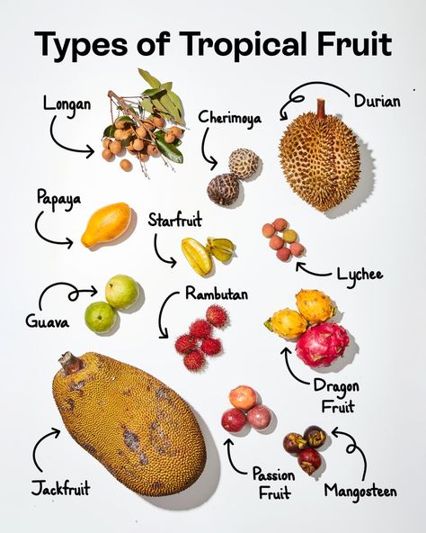 Twelve different types of tropical fruits labeled on a white surface. Tropical Fruit Recipes, Fruit Labels, Halal Recipes, Green Grapes, Tropical Fruits, Delicious Fruit, Tropical Fruit, Summer Fruit, Fruit Recipes