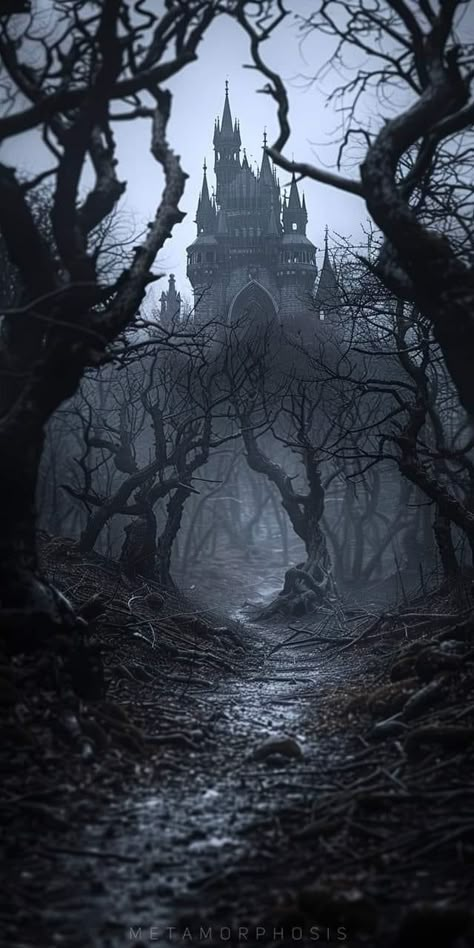 Mesa Halloween, Horror Aesthetics, Sketching References, Vampire Castle, Spooky Castles, Vampire Aesthetic, Dark Castle, Gothic Castle, Dark Landscape