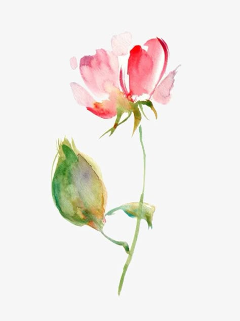 Loose Watercolor Paintings, Flower Png Images, Watercolor Flowers Tutorial, Loose Watercolor, Watercolor Sketchbook, Watercolor Flower Art, Flower Art Images, Watercolor Art Lessons, Watercolor Flowers Paintings