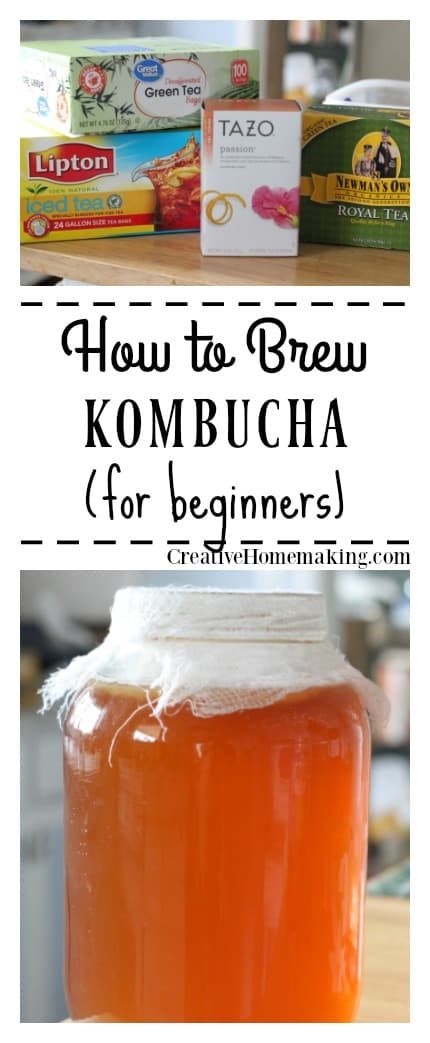 Diy Kombucha, Kombucha Flavors, Recipes Chili, Pasta Bread, Kombucha Scoby, How To Brew Kombucha, Kombucha Recipe, Homemade Kombucha, Recipe For Beginners