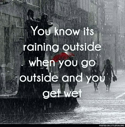 You know it's raining when you go outside abd you get wet. Rain Humor, Rainy Day Quotes, Winter Humor, Captain Obvious, Rain Quotes, Weather Quotes, Raining Outside, Mind Blowing Facts, Daily Funny