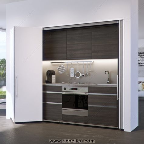 System for Lateral Bi-Fold/Pocket Doors. HAWA-Folding Concepta 25-1 Two Panel Doors, Sliding Cabinet Doors, Hidden Kitchen, Cabinet Fronts, Concealed Hinges, Door Kits, Sliding Barn Door Hardware, Wardrobe Doors, Folding Doors