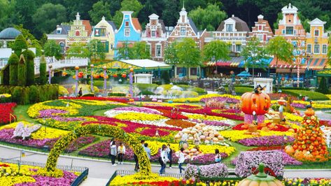 13 Things to Do in Korea during the Summer – Seoulistic Best Amusement Parks, Yongin, South Korea Travel, Korea Travel, Travel South, Korean Language, Amusement Park, Places Around The World, Asia Travel