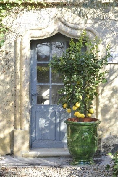 Anduze Pot, Style Toscan, French Garden Design, French Limestone, French Style Homes, Formal Gardens, Tuscan Style, French Garden, Blue Door