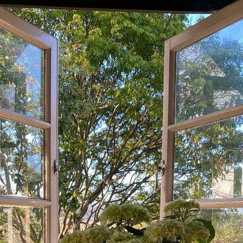 Cozy Morning Aesthetic, Sunday Morning Aesthetic, Sunday Aesthetic, Victoria + Core, Mindful Morning, Wallace Stevens, Kitchen View, She's The Man, Slow Sunday