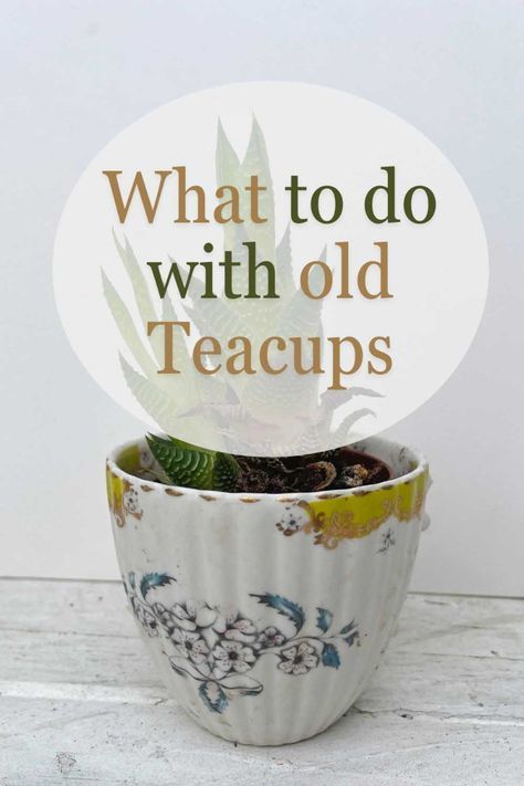 Turn your old teacups into eco-friendly masterpieces with our DIY crafting guide. Discover how to upcycle teacups into bird feeders, plant holders, and much more, helping you reduce waste while beautifying your space! Teacup Crafts Diy, Tea Cup Projects, Fairy Teacup Garden, Tea Cup Decor, Tea Cups Diy, Tea Room Decor, Cup And Saucer Crafts, Tea Cup Art, Teacup Gardens