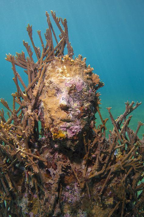 Jason deCaires Taylor, a neighboring exhibitor at the 57th Venice Biennale, has been making sunken statues since 2006. Natural Forms Sculpture, Underwater Statues, Jason Decaires Taylor, Underwater Sculpture, Water Sculpture, Sculpture Museum, Rising Tide, Sculpture Ideas, Damien Hirst