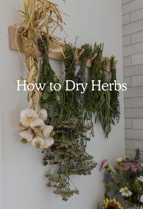 Herb Drying, Hanging Herbs, Dry Herbs, Harvesting Herbs, Garden Herbs, Dry Garden, Making A Bouquet, Bee Balm, Work Diy