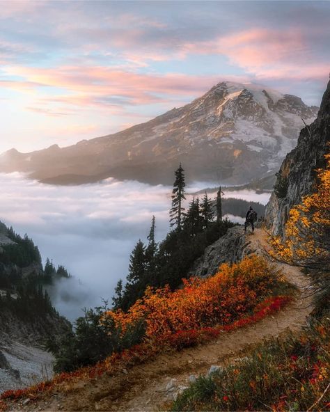 National Park Geek® on Instagram: “Take in the day at a National Park. •••• Thanks to Raymond @raymondstiehl for the Mt. Rainier magic. • Watching the sunset and the clouds…” Mt Rainier National Park, Mountain Pictures, Mount Rainier National Park, Mt Rainier, Rainier National Park, National Parks Usa, Pretty Landscapes, Pure Beauty, Beautiful Mountains