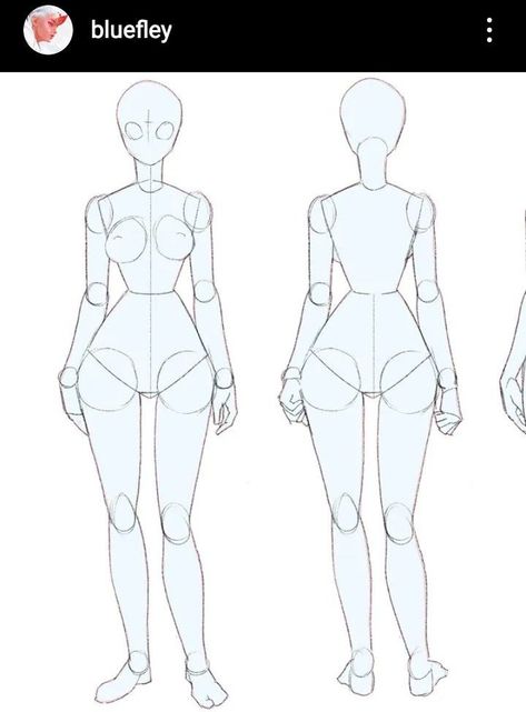 Full Figure Drawing Reference Female, Full Anatomy Drawing, Blank Base Drawing, Anatomy Reference Full Body Drawing, Full Body Character Base, Base Full Body Draw, Full Body Oc Drawing, Character Template Drawing Poses, Full Body Drawing Base Female