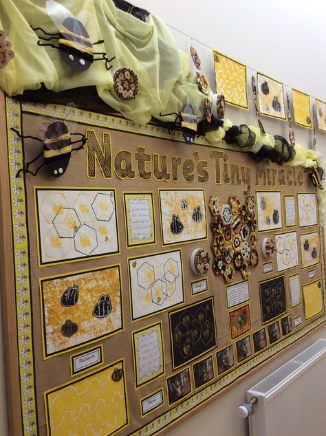 Minibeasts Eyfs, Draw A Hexagon, Mini Beasts, Bee Activities, Reggio Inspired Classrooms, Bee Classroom, Eyfs Classroom, Reggio Classroom, Insects Theme