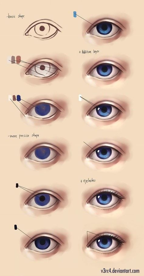 . ศิลปะ Sugar Skull, Realistic Eye Drawing, Eye Drawing Tutorials, Drawing Eyes, Siluete Umane, Realistic Eye, Types Of Eyes, Animal Illustrations, Digital Paintings