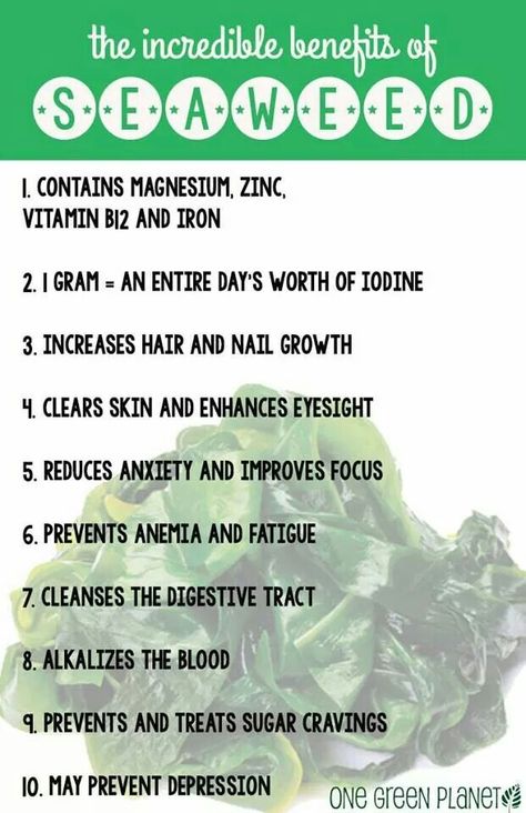 Seaweed is a powerhouse of green nutrients! Benefits Of Seaweed, Desayuno Keto, Tomato Nutrition, Matcha Benefits, Coconut Health Benefits, Benefits Of Coconut Oil, Improve Focus, Vegan Diet, Health Problems