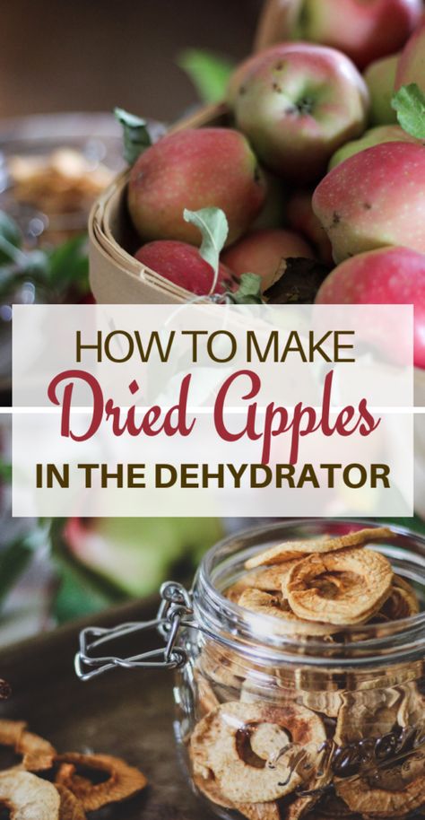 Food Dehydrator Recipes, Dried Apple Rings, Dehydrated Apples, Dehydrated Vegetables, Apple Rings, Food Dehydrator, Dehydrated Fruit, Cinnamon Recipes, Dried Apples