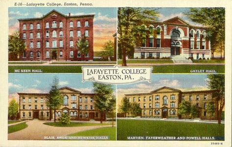 College Bed Party, College Bed, Lafayette College, Easton Pa, Bed Party, Pennsylvania History, College Bedding, Future Career, Leopards