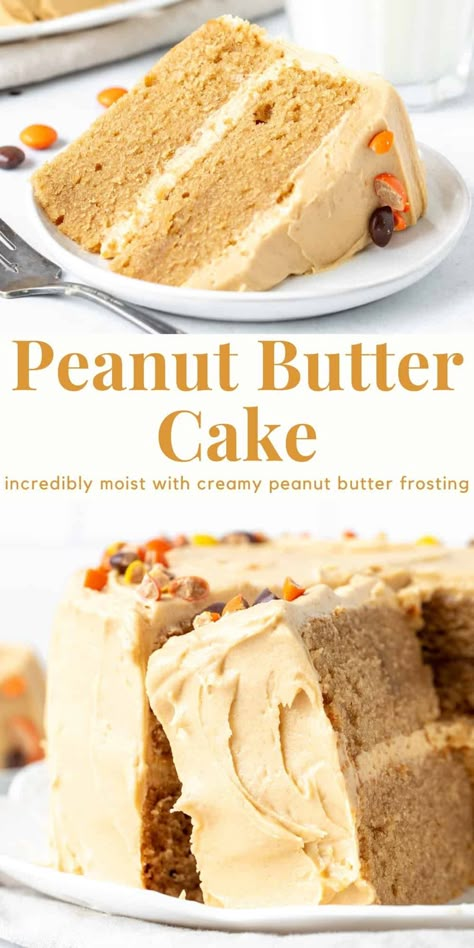 This peanut butter cake is the perfect recipe for true peanut butter lovers! Layers of moist and tender cake with the perfect peanut butter flavor and creamy peanut butter frosting - it's surprisingly not too sweet and loaded with peanut butter. #peanutbuttercake #layercake #peanutbutterfrosting #recipe #peanutbutter from Just So Tasty Peanut Butter Birthday Dessert, Mini Chocolate Peanut Butter Cake, Peanut Butter Mousse Filling For Cake, Best Peanut Butter Cake, Peanut Butter Cake With Chocolate Frosting, Peanut Butter Cake Frosting, Peanut Butter Cake With Chocolate Icing, Peanut Butter And Jelly Cake, Easy Peanut Butter Cake