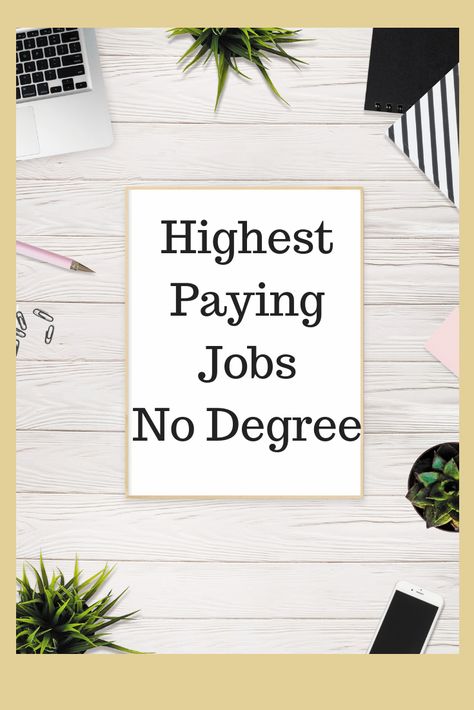 Highest Paying Jobs Without A Degree, History Degree Jobs, Jobs For Women No Degree, High Paying Jobs No Degree, Careers Without A Degree, Jobs Without A Degree, Biology Degree, Highest Paying Jobs, Best Part Time Jobs