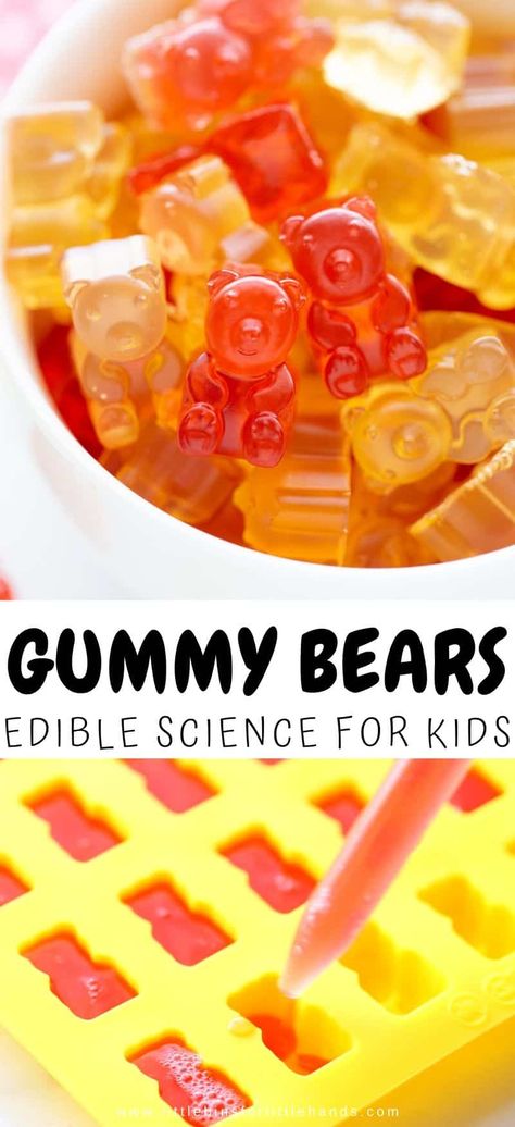 Gummie Bear Recipe, Easy Gummy Recipe, Homemade Gummy Bears With Jello, Natural Gummy Bear Recipe, Gummy Bear Ice Cream, Gummy Worm Recipe, Organic Gummy Bear Recipe, Spicy Gummy Bears Recipe, Gummy Bear Recipe With Gelatin