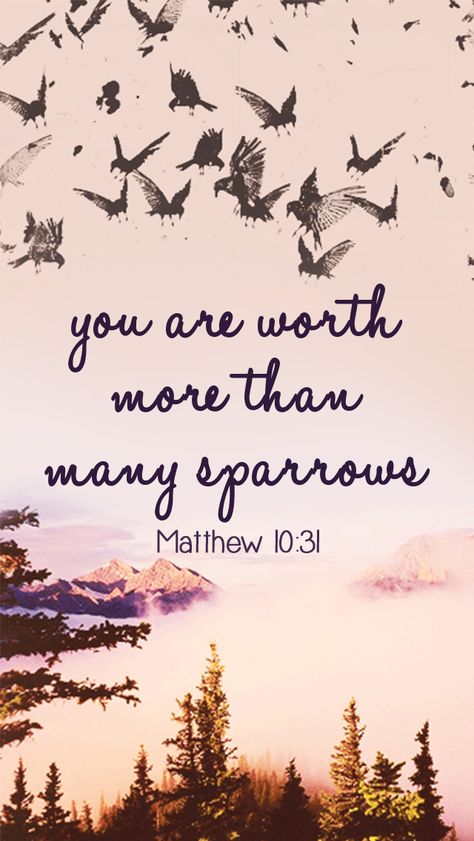 Matthew 10:31 - God sees every sparrow that falls to the ground. Jesus then said: "You are worth more than many sparrows" to show that God holds us in high esteem, and values us. Worth More Than Many Sparrows, Matthew 10 31, A Bible Verse, Matthew 10, Fina Ord, Ayat Alkitab, Sparrows, Lord And Savior, Verse Quotes